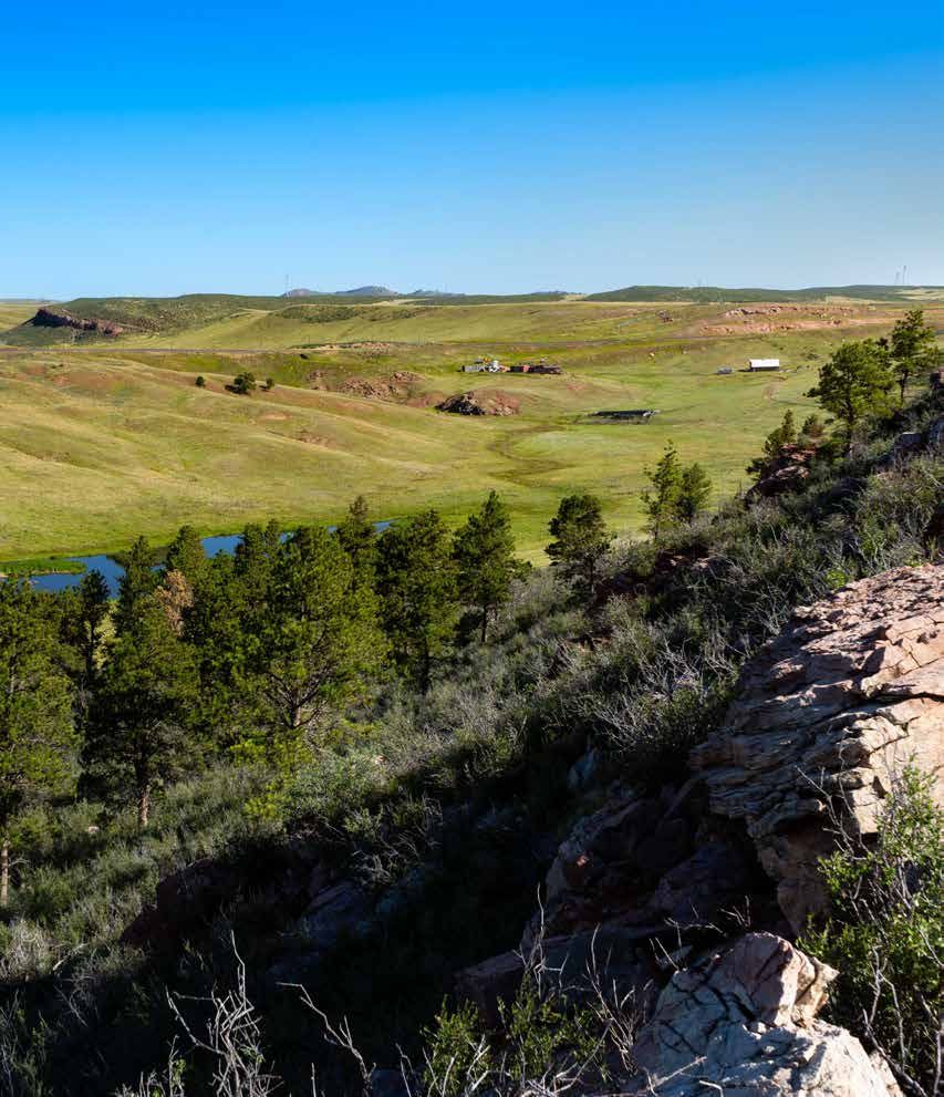 Scenic overlook of rolling green hills, pine trees, and a small pond under a clear blue sky in the American Great Plains.