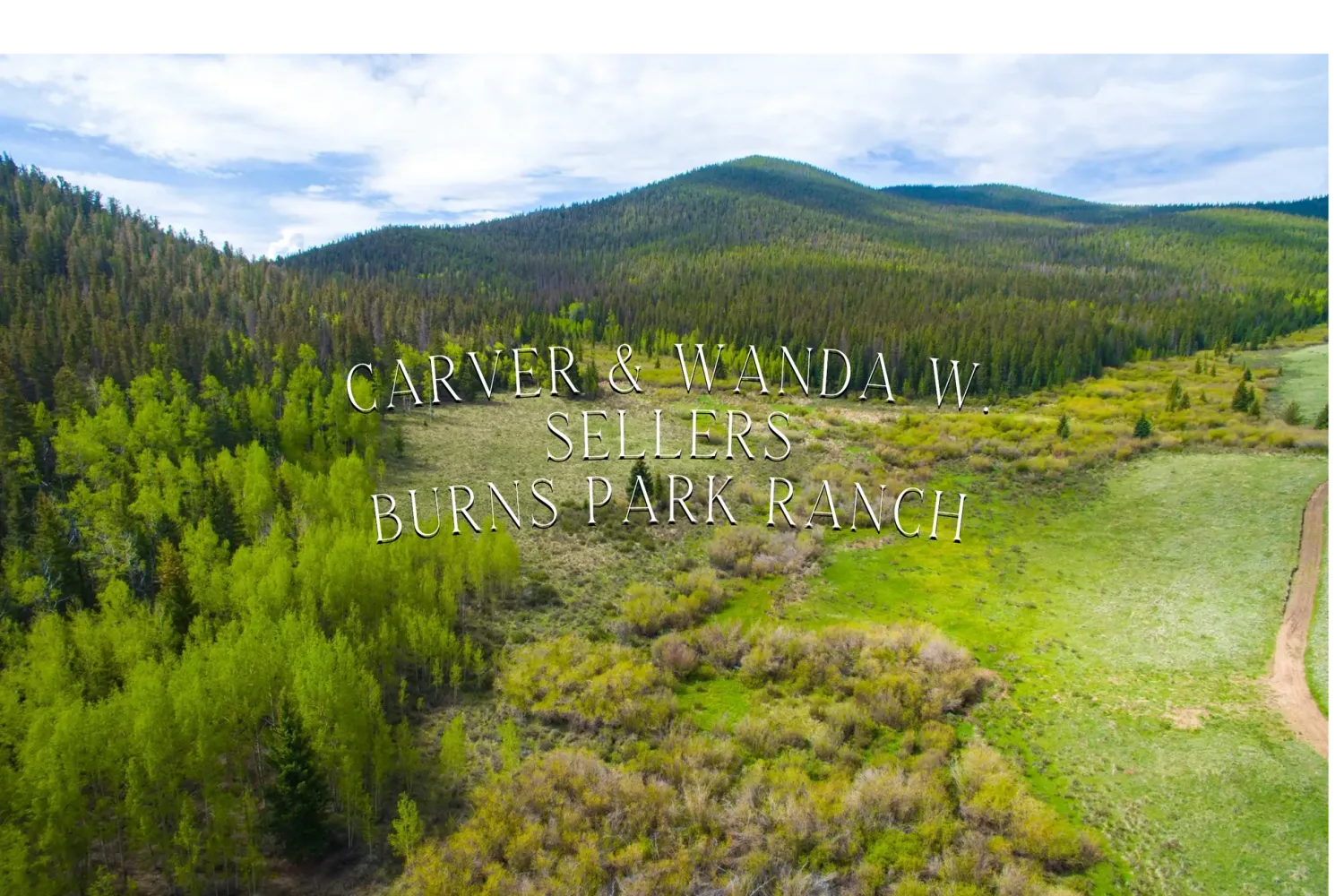 Aerial view of rolling green hills and mountain landscapes with evergreen forests in the distance.