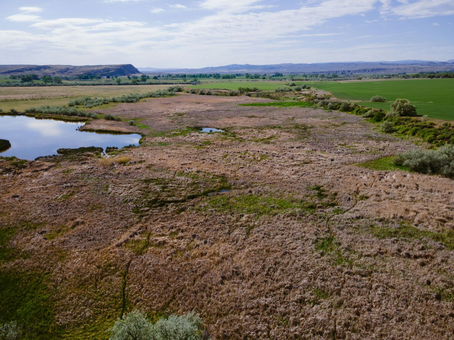 Aerial view of a wetland marsh with a small pond surrounded by dry scrubland and green fields under a cloudy sky.