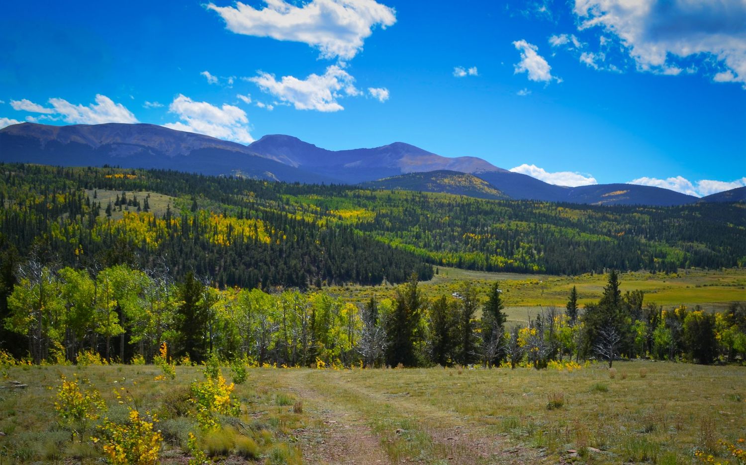 Scenic Colorado mountain valley with evergreen forest, colorful autumn trees, dirt path, and blue sky with clouds in Colorado.