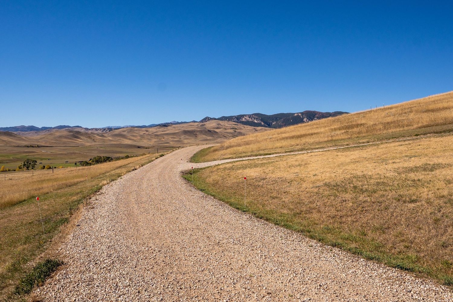 Gravel road winding through golden grasslands toward distant mountains under a clear blue sky.