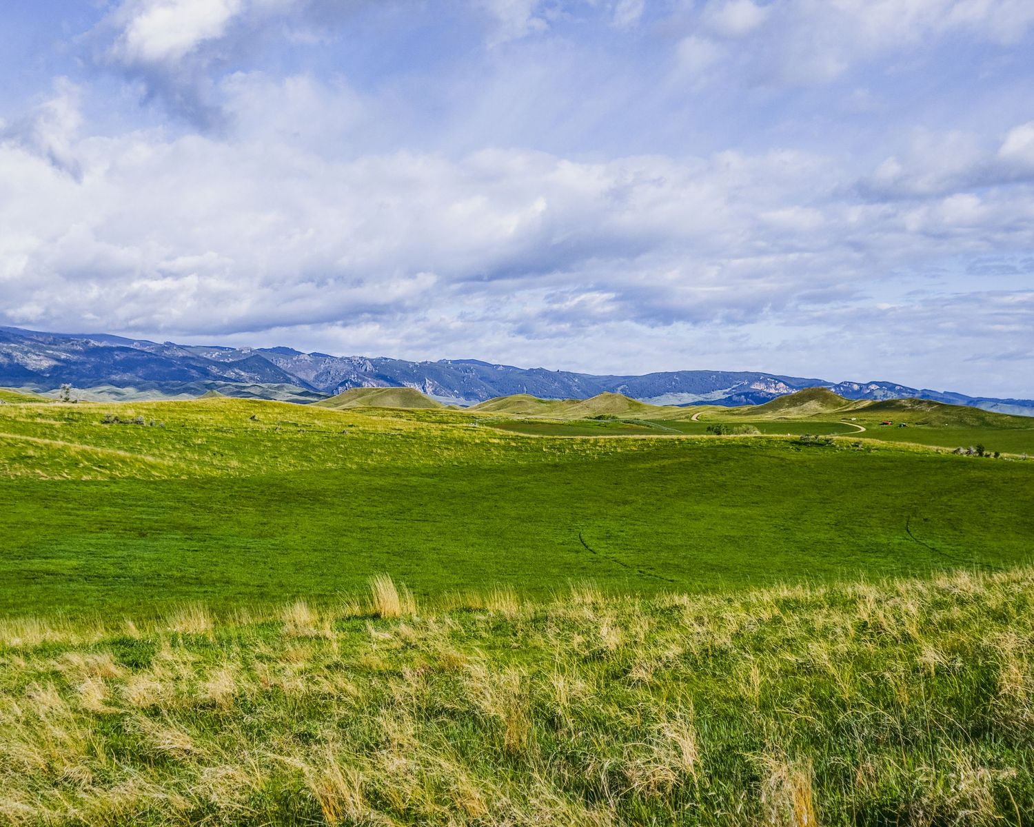 Panoramic view of lush grasslands with mountains in the distance under a partly cloudy sky.