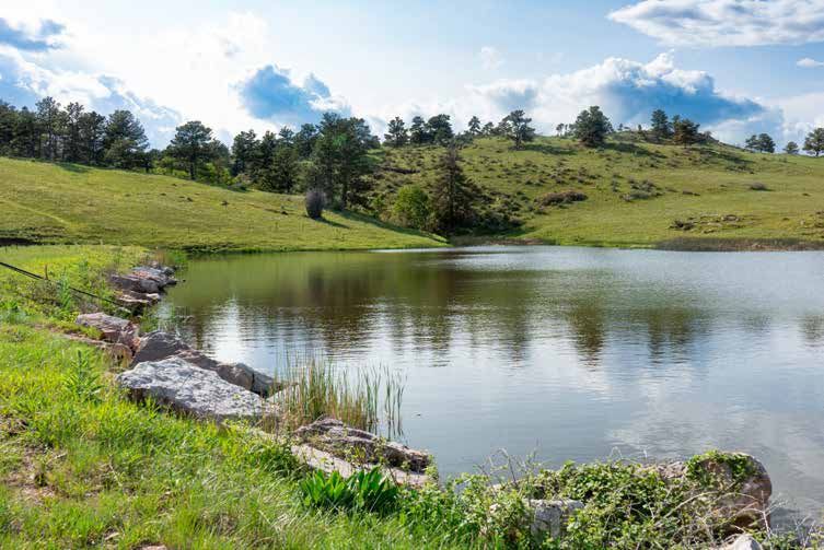 Serene mountain lake reflecting blue skies and clouds, surrounded by lush green hills, pine trees, and wildflowers on a sunny day.
