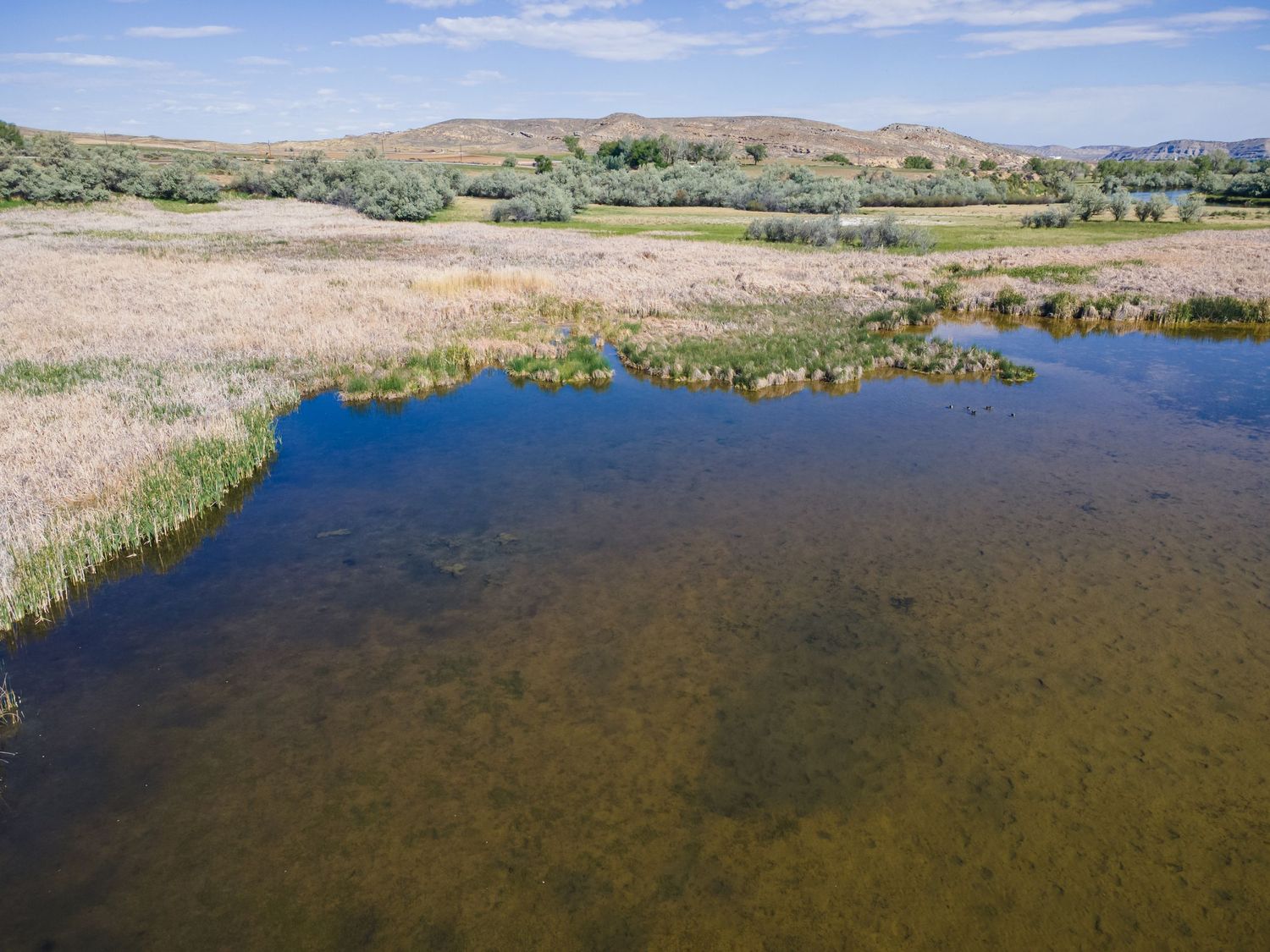 Shallow clear wetland pond surrounded by golden marsh grasses and rolling hills under a partly cloudy blue sky.