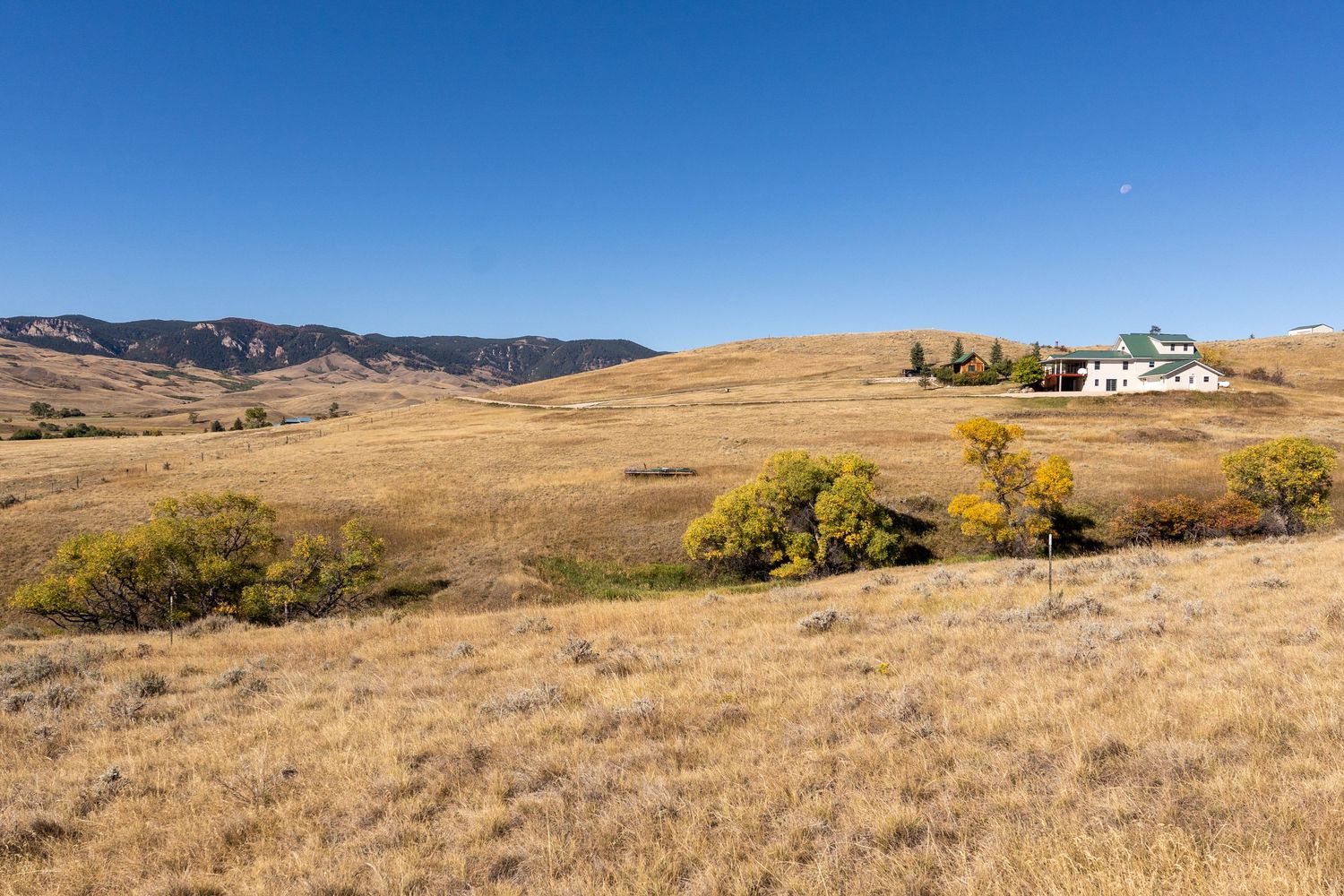 Golden grassland valley with white farmhouse, autumn trees, and Rocky Mountain foothills under clear blue sky.