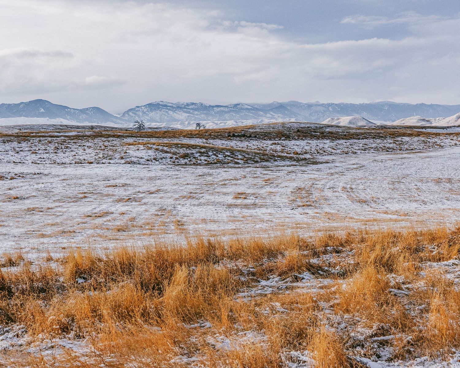 Snow-covered winter prairie with distant mountains and golden grass in the foreground.