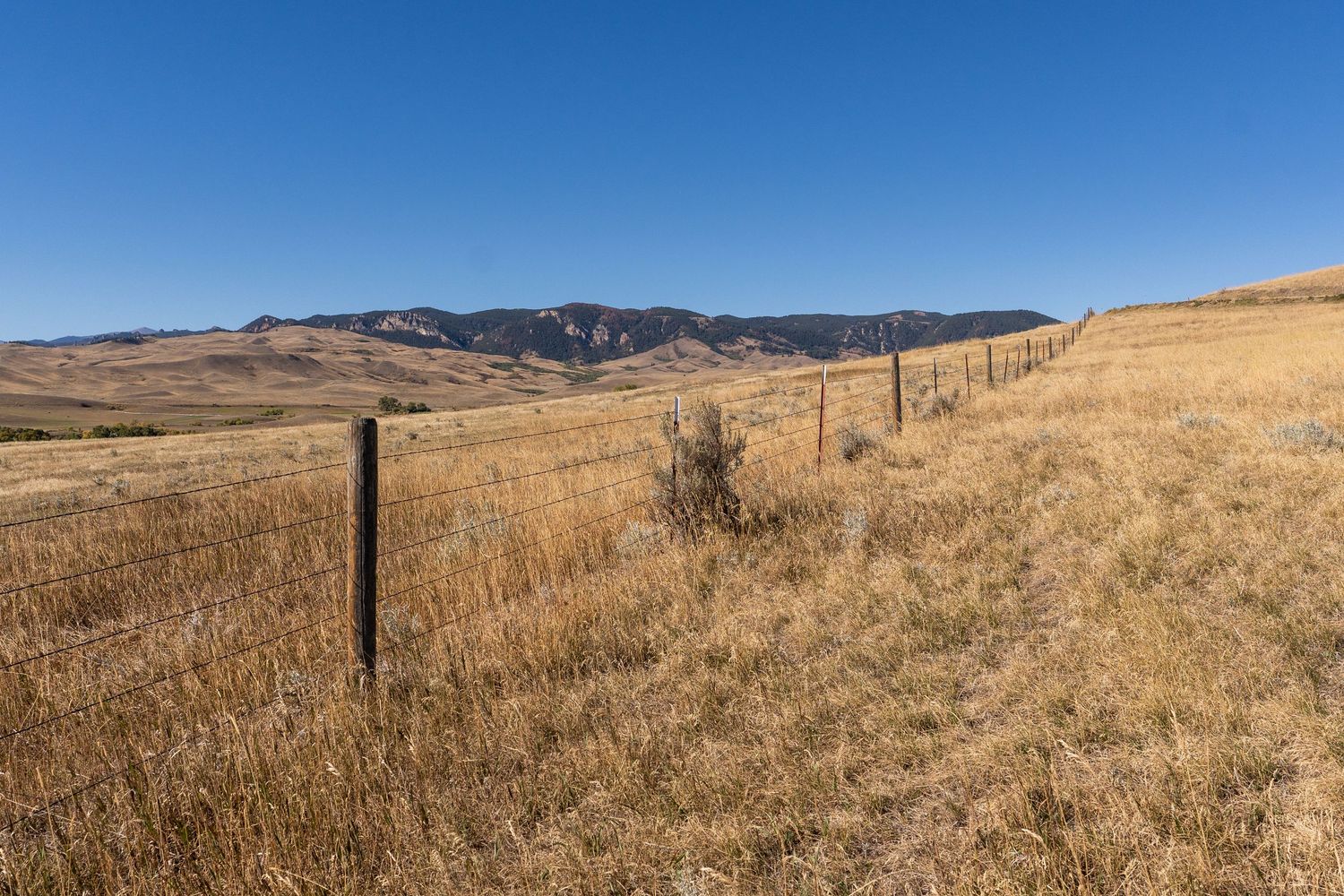 Dry golden grassland with wooden fence line stretching toward rugged mountain foothills under a clear blue sky.
