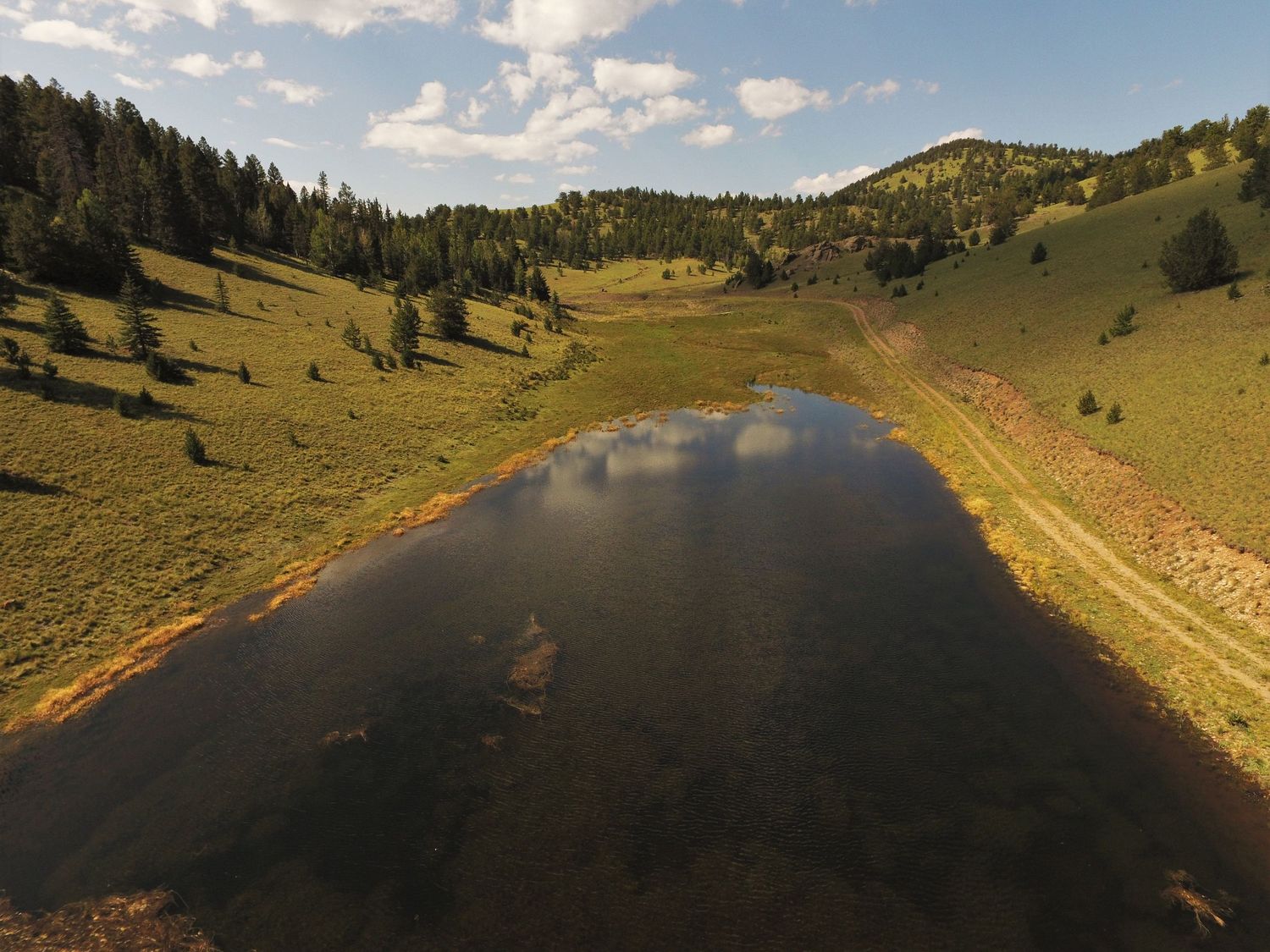 Aerial view of a calm river winding through lush green property and pine forest under a partly cloudy sky.