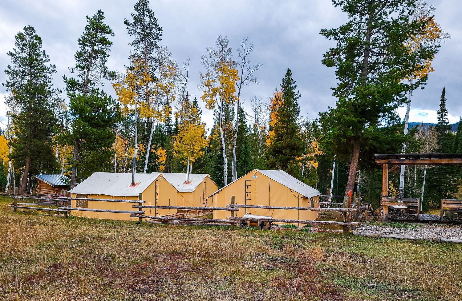 Canvas wall tents at a rustic wilderness camp surrounded by pine and aspen trees in Colorado during fall.