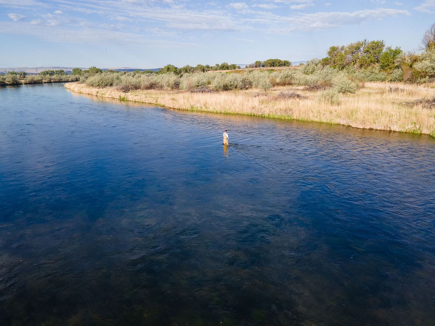 Aerial view of a fly fisherman wading in a calm blue river surrounded by golden grass and green shrubs.