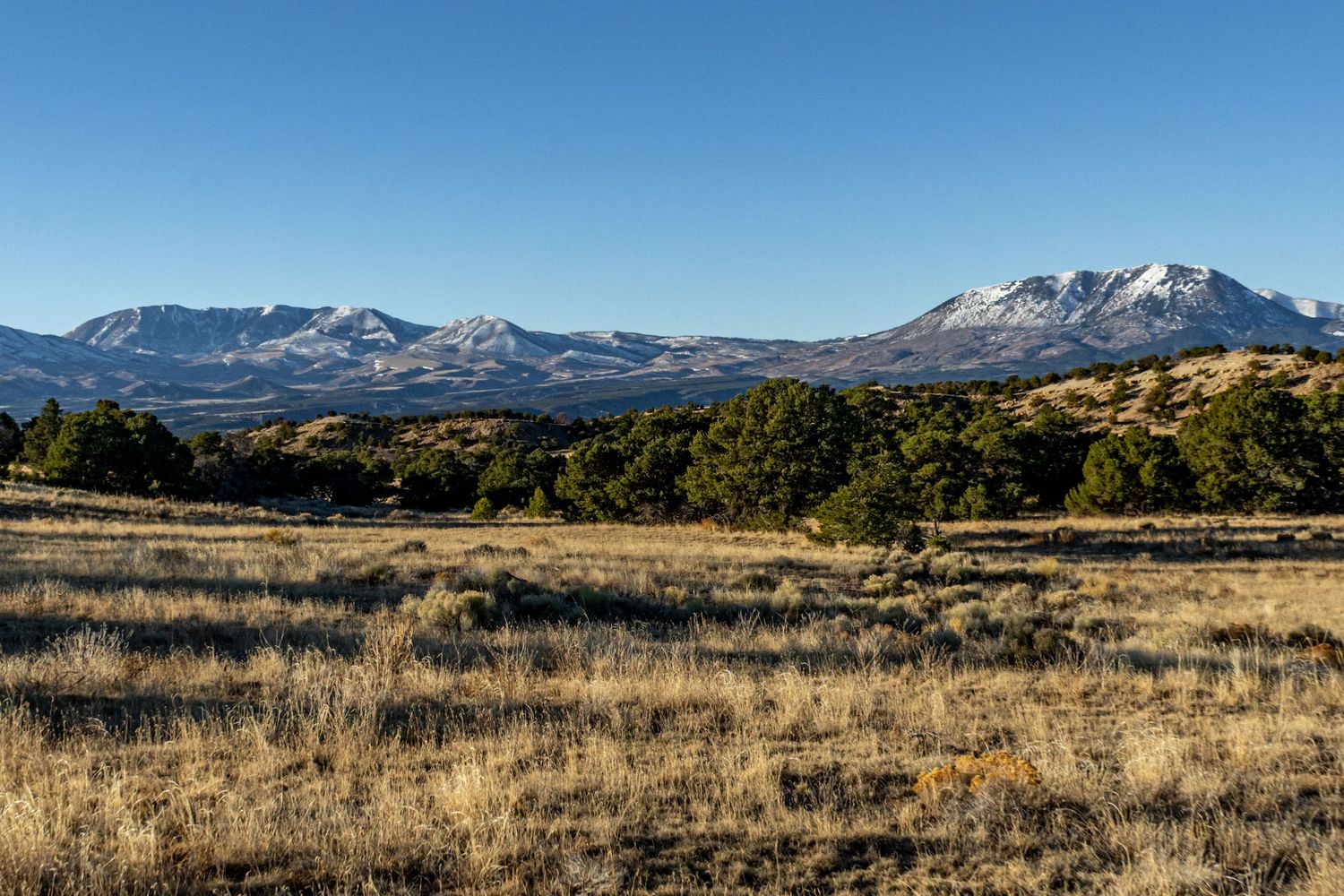 Sweeping vista of mountain ranges and grasslands under bright blue sky.