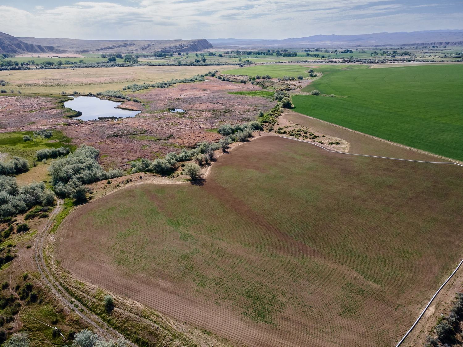 Aerial view of rural farmland with green fields, a small pond, and shrubby terrain under a partly cloudy sky.