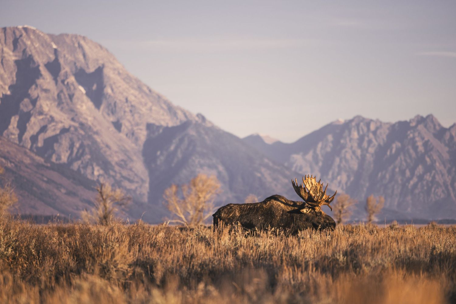 Panoramic view of rugged mountain peaks against a hazy sky in Wyoming.