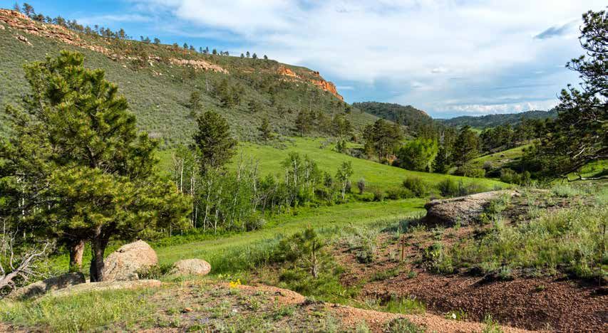 Lush green valley with rocky cliffs, pine trees, and boulders under a partly cloudy sky in a scenic mountain landscape.