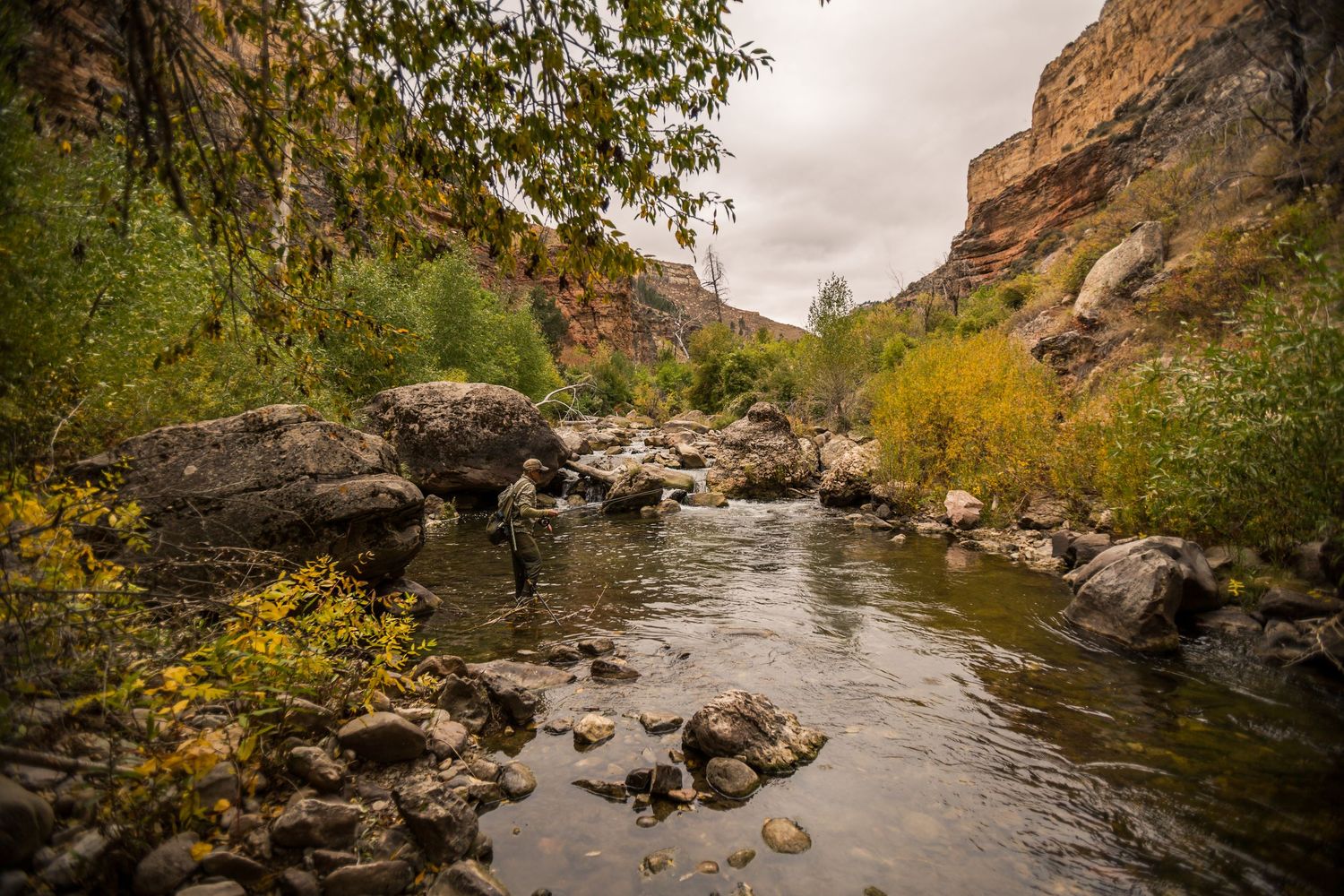 Rocky river flows through a narrow canyon with autumn foliage and towering cliffs under overcast skies.