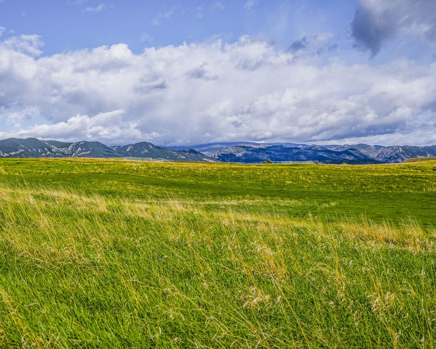 Sweeping grassland vista with mountains in the distance under dramatic cloudy sky.