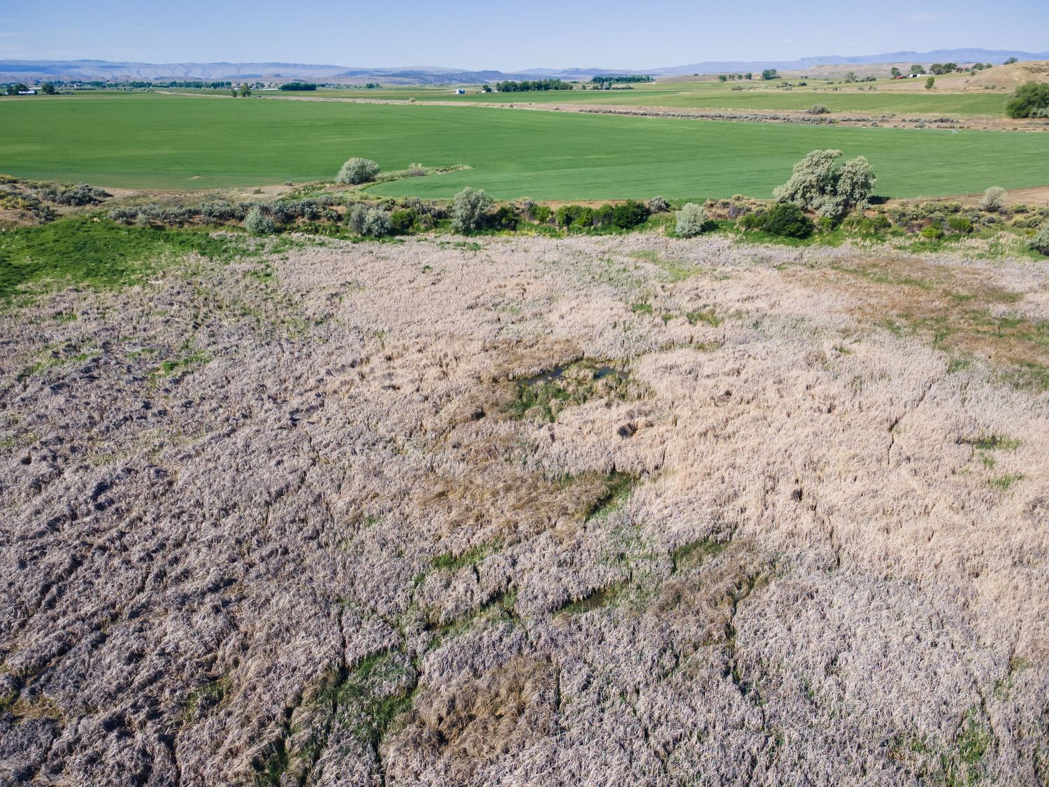 Aerial view of arid scrubland adjacent to a lush green agricultural field under a clear blue sky.