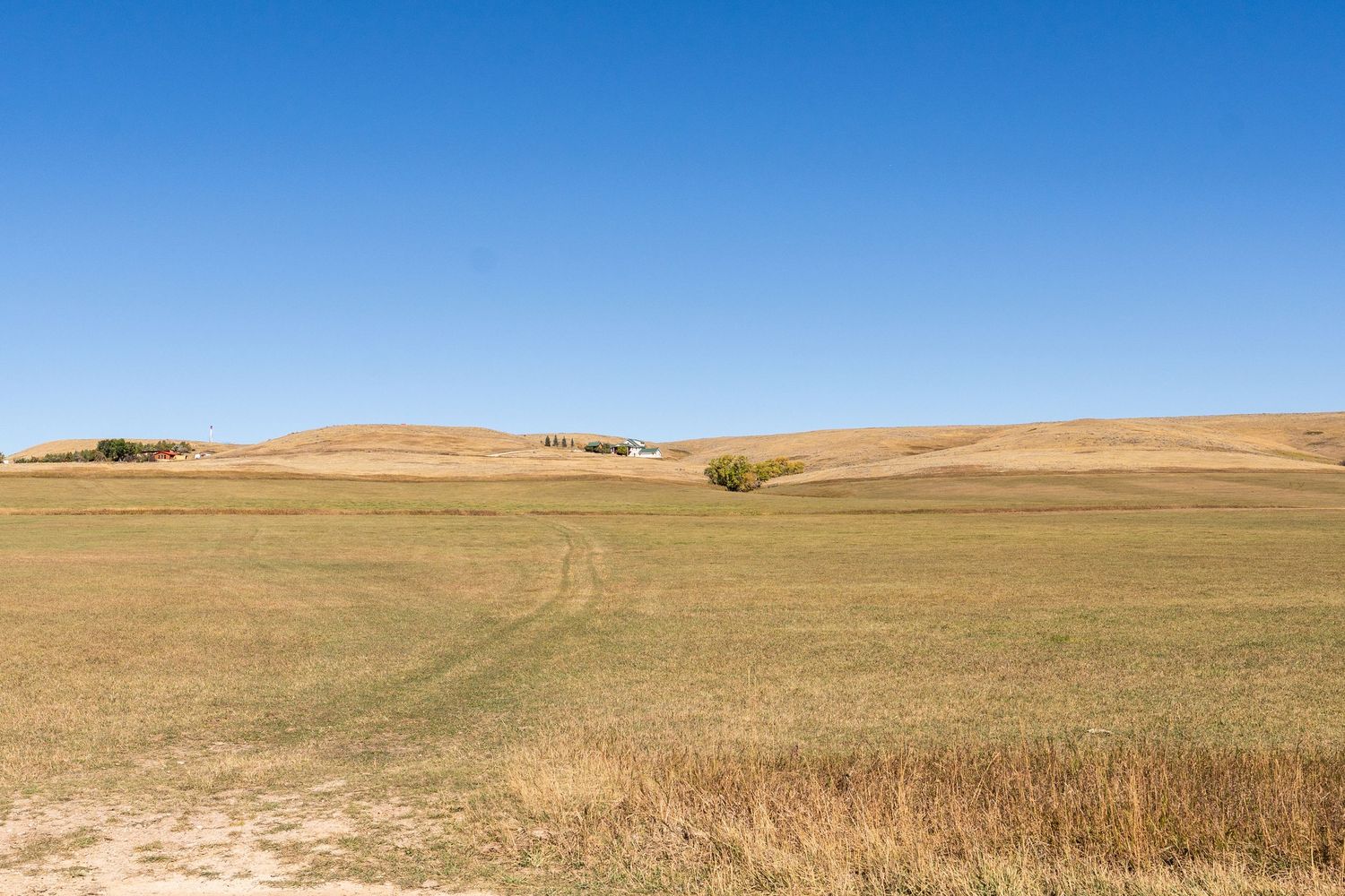 Rolling golden grasslands stretch under a clear blue sky with gentle hills and a dirt path in the foreground.
