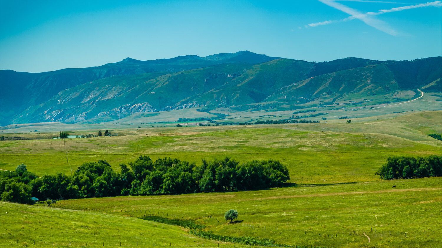 Lush green valley with scattered trees, rolling hills, and mountain backdrop under a clear blue sky.