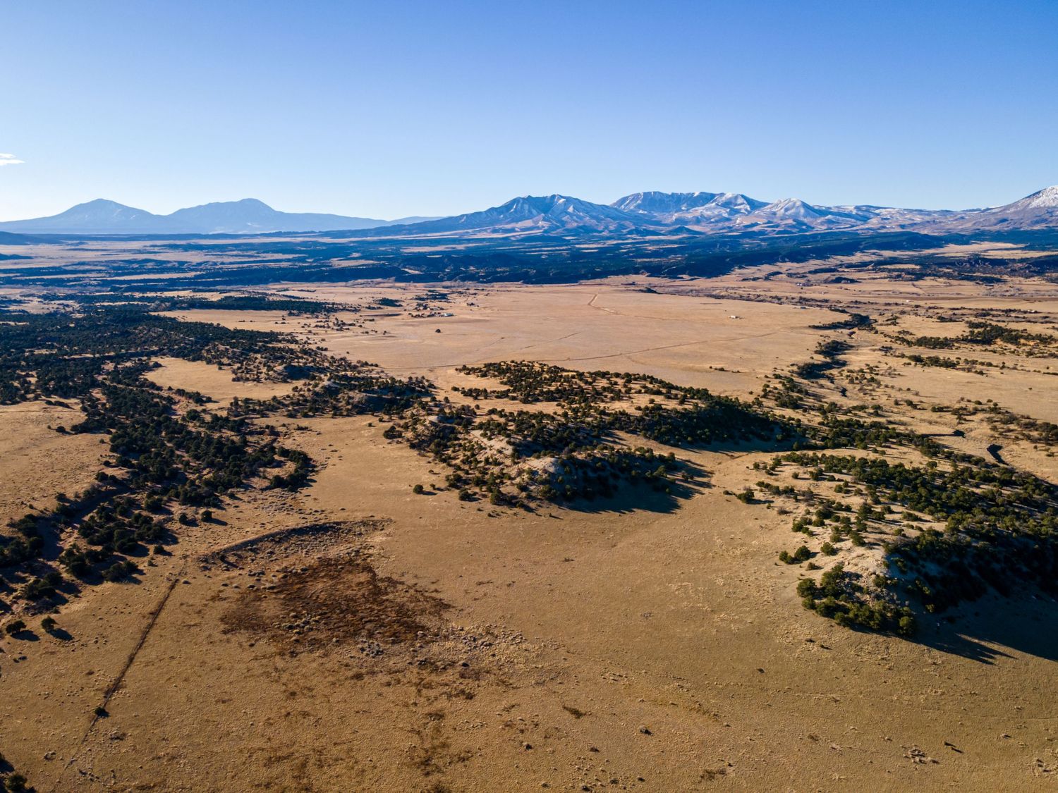 Expansive desert landscape with mountains and scattered vegetation.