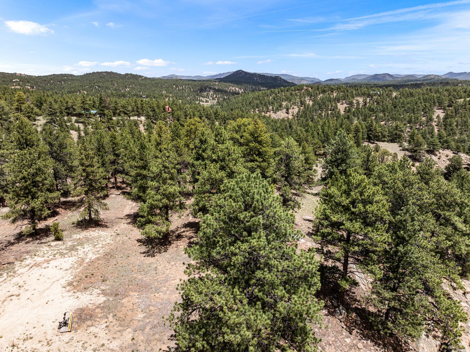 Aerial view of dense pine forest with rolling mountain landscape and blue sky in background.