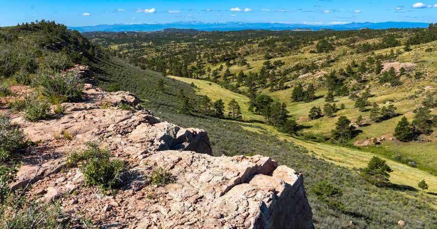 Rocky hillside overlooks a lush green valley with scattered pine trees and distant mountains under a clear blue sky.