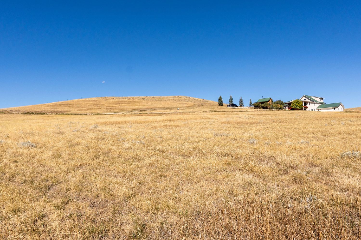 Golden prairie grassland with a farmhouse and trees on a gentle hill under a clear blue sky.