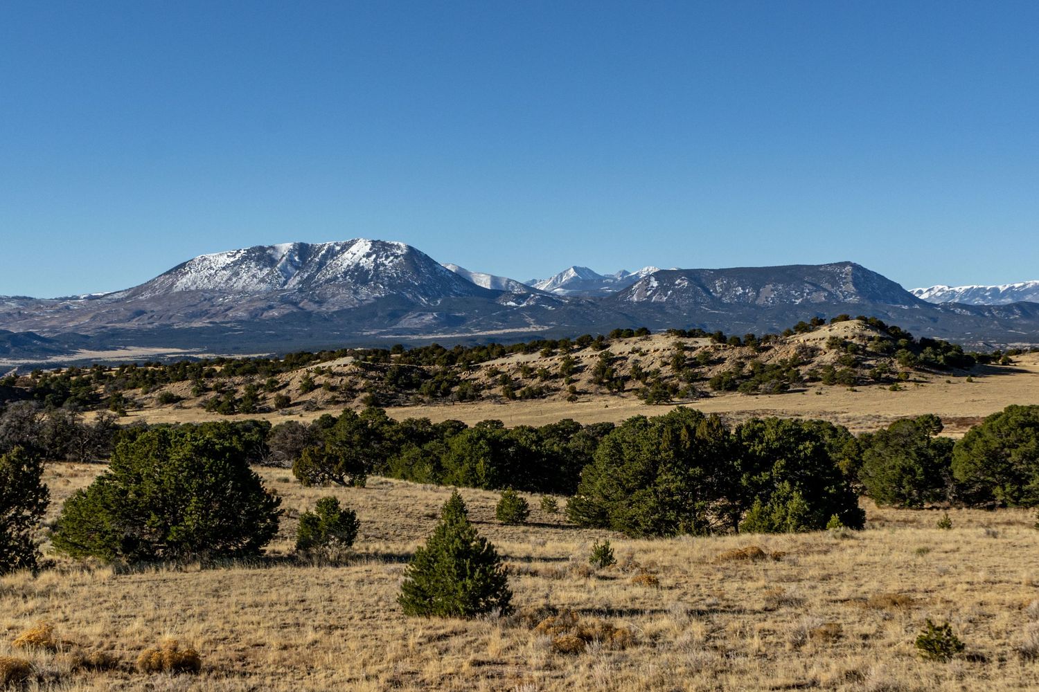 Wide desert landscape with distant mountain ranges and scattered vegetation in the foreground.