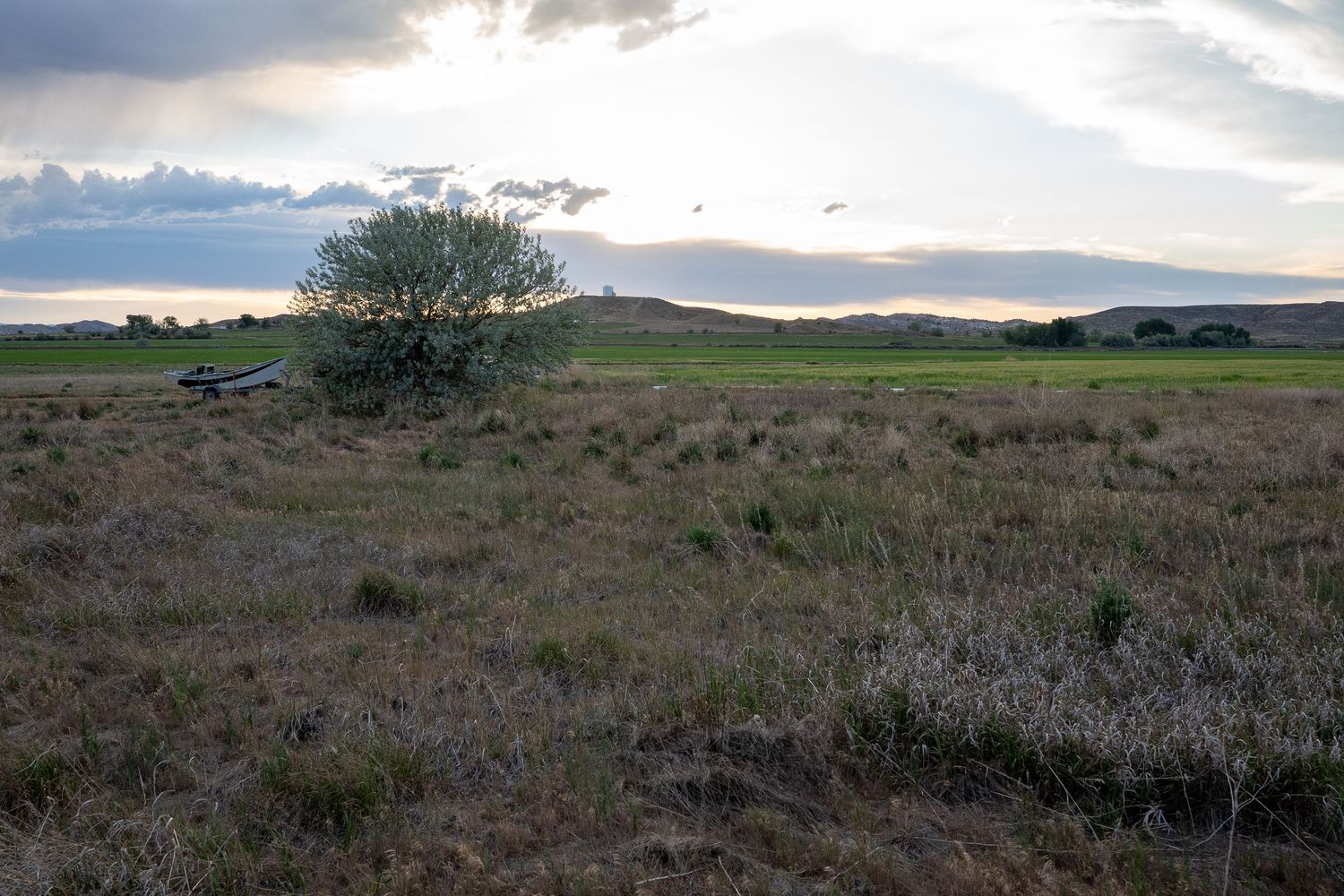 Golden grassland at dusk with a lone shrub and farm buildings silhouetted against a dramatic cloudy sunset sky.