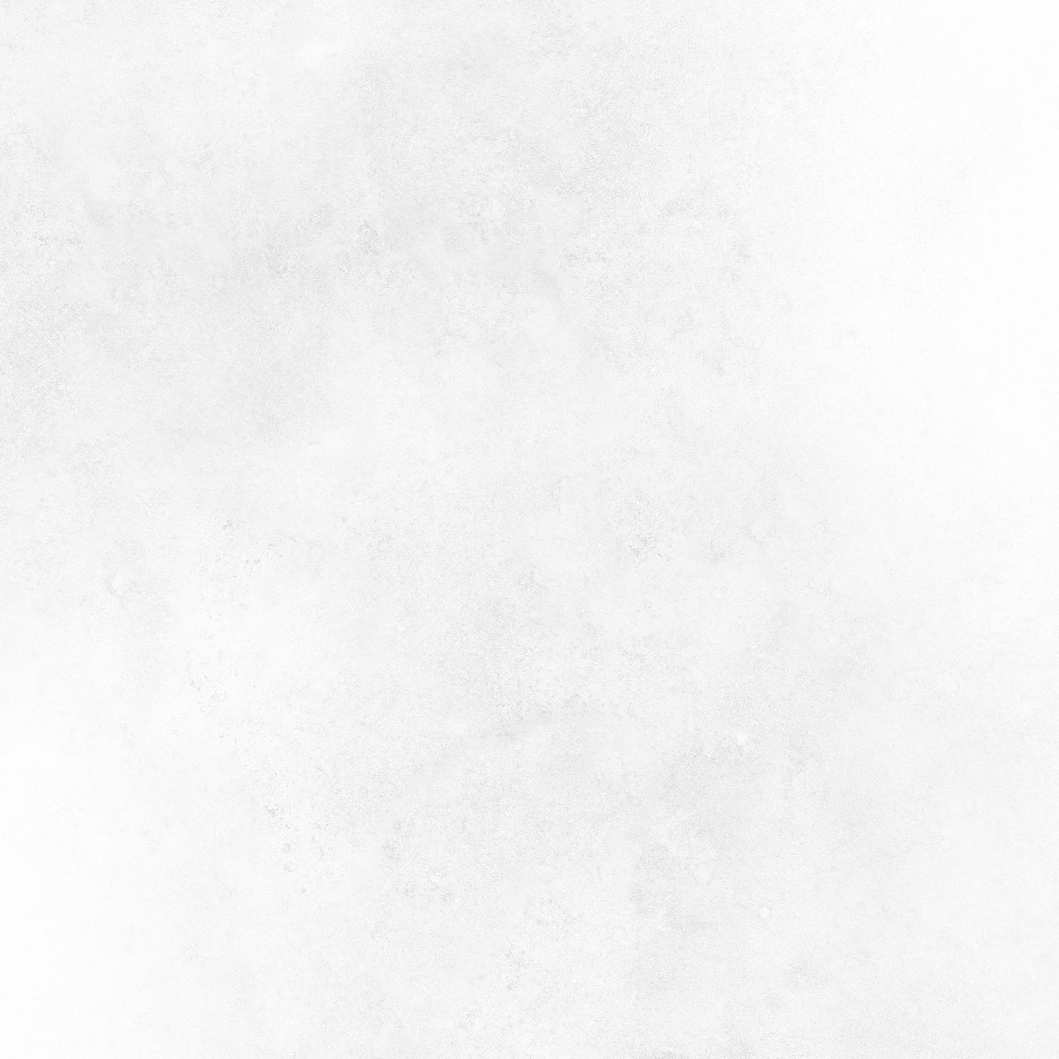 Light gray textured background with subtle diagonal brush stroke pattern.