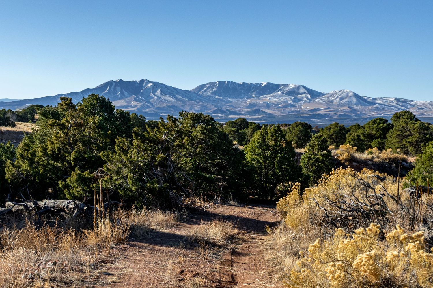 Desert valley landscape with mountain range and scattered vegetation under clear skies.