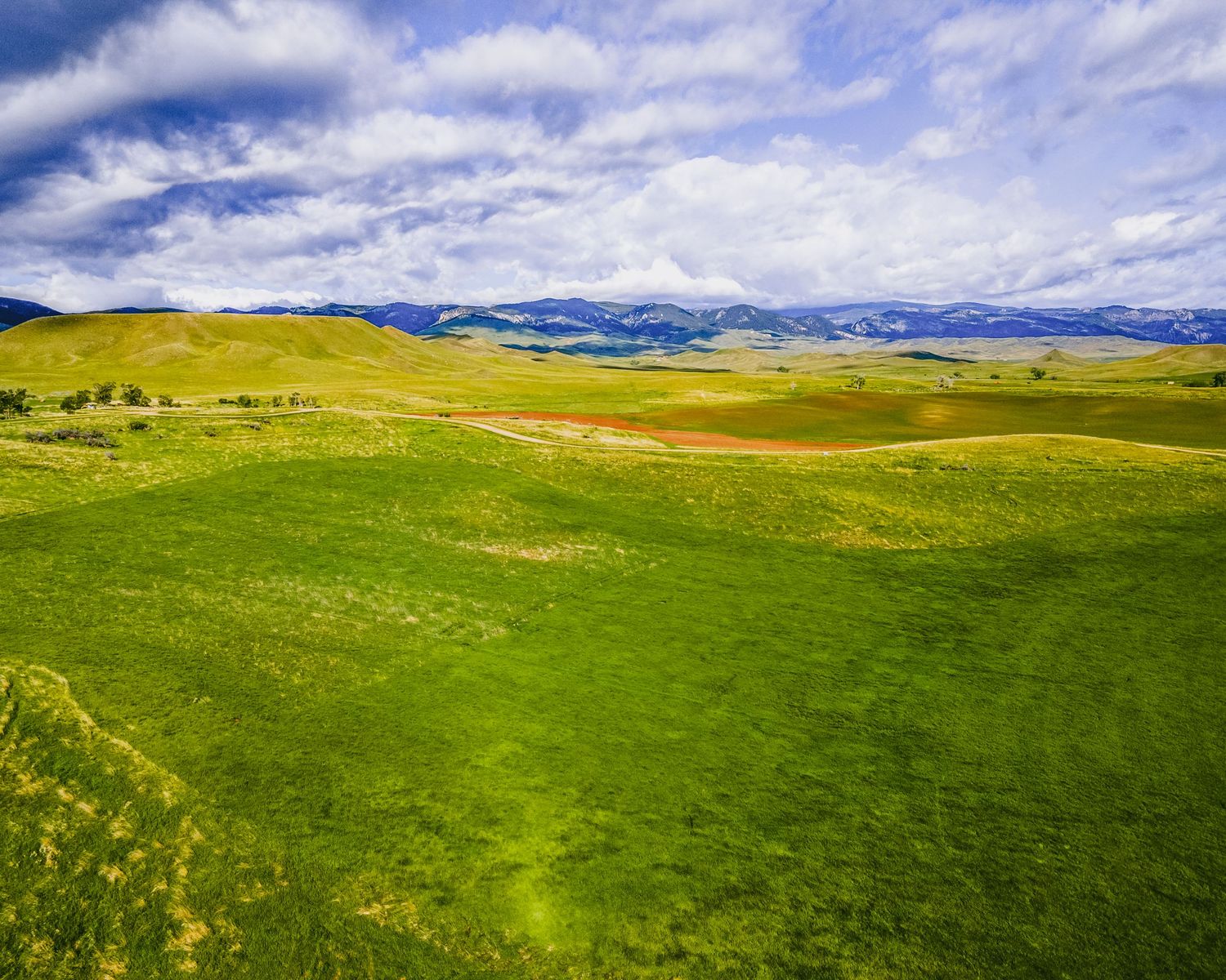 Panoramic view of lush green rolling hills against blue sky with white clouds in summer.
