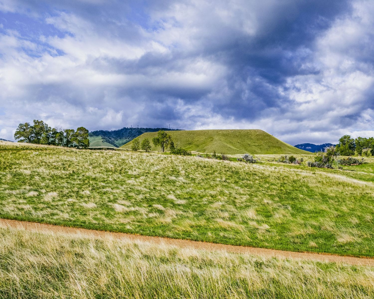 Rolling grasslands with winding paths and scattered trees under dramatic cloudy skies.