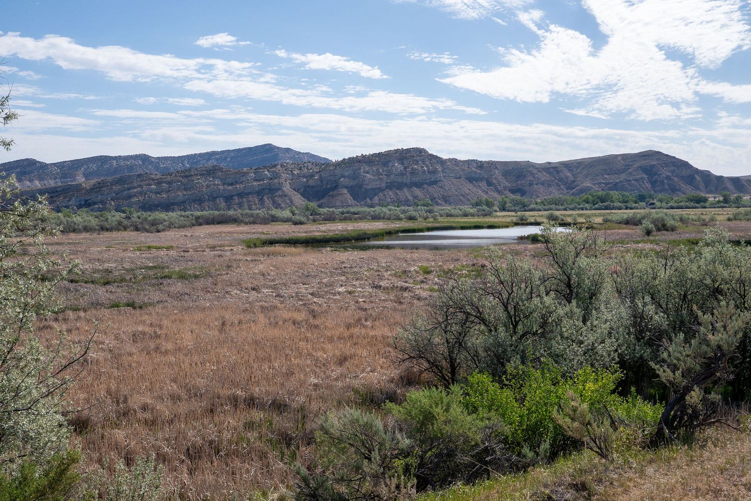 Scenic arid landscape with a small pond, sagebrush, and rolling mountains under a partly cloudy sky.