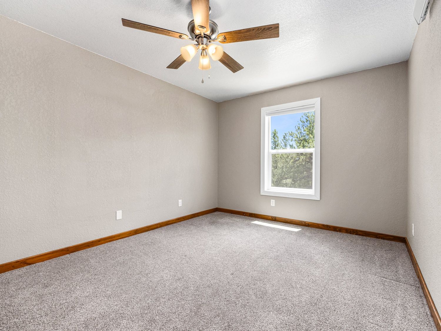 Empty carpeted bedroom with ceiling fan, neutral gray walls, and single window with natural light.