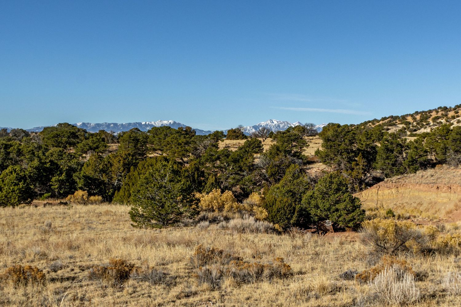 Rolling hills covered in juniper trees with snow-capped peaks visible in the background.
