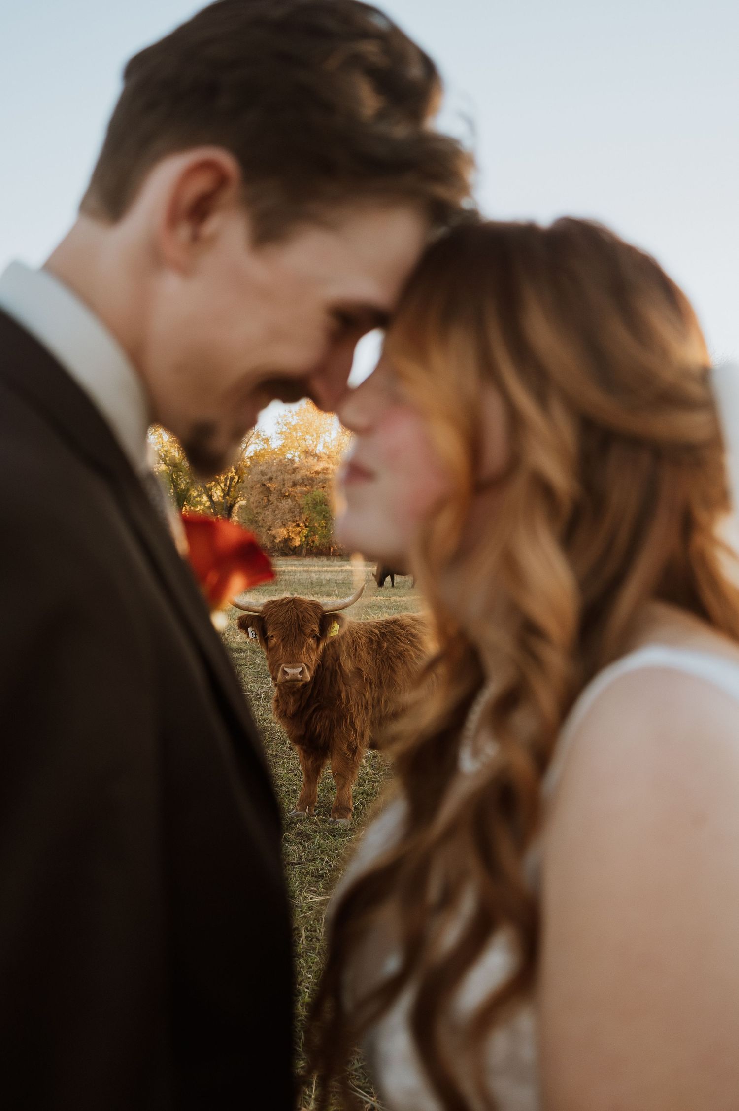 Utah wedding photographer capturing warm, moody bridal portraits. Florida wedding photographer documenting intimate