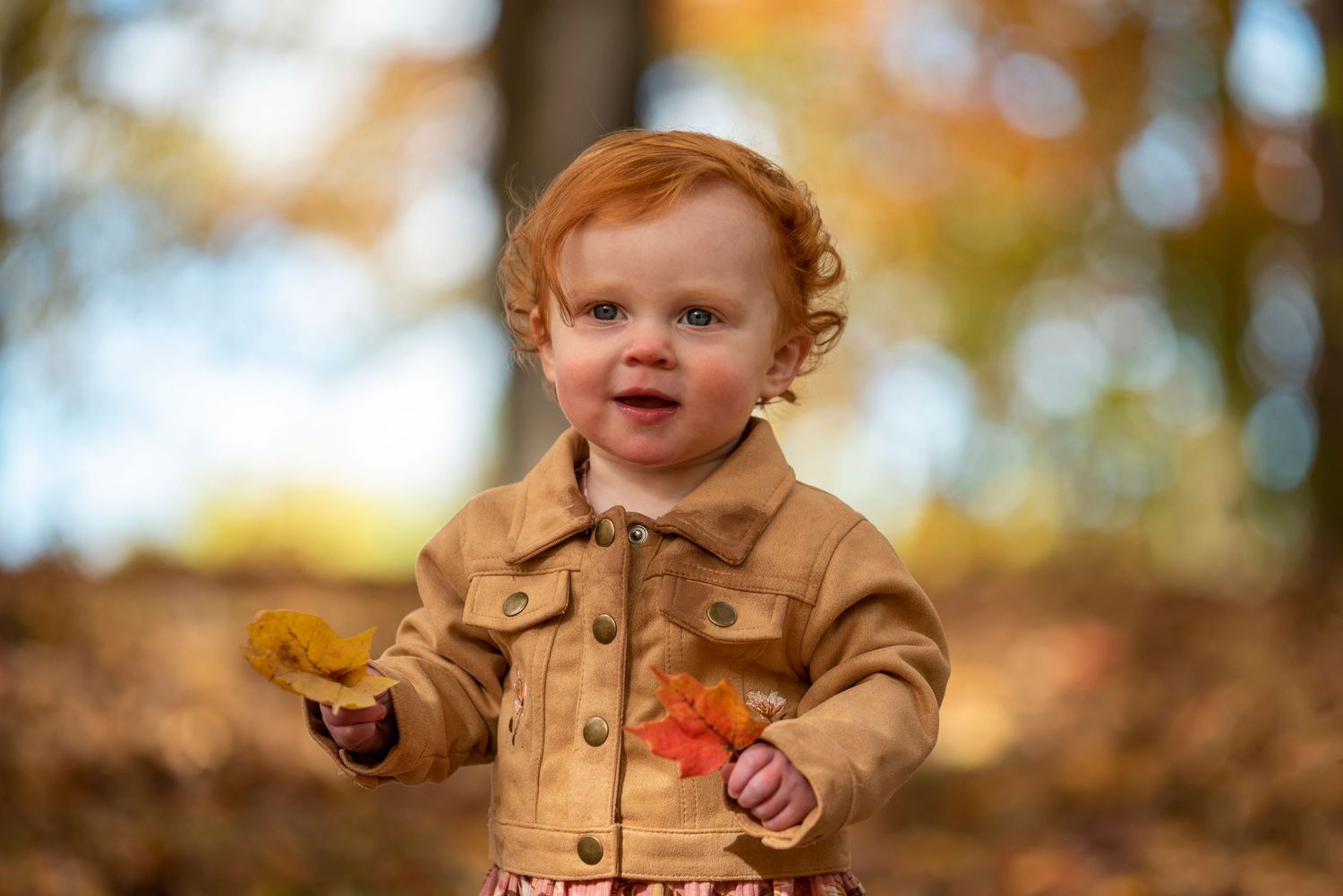 Toddler in brown coat plays among autumn leaves during outdoor photoshoot.