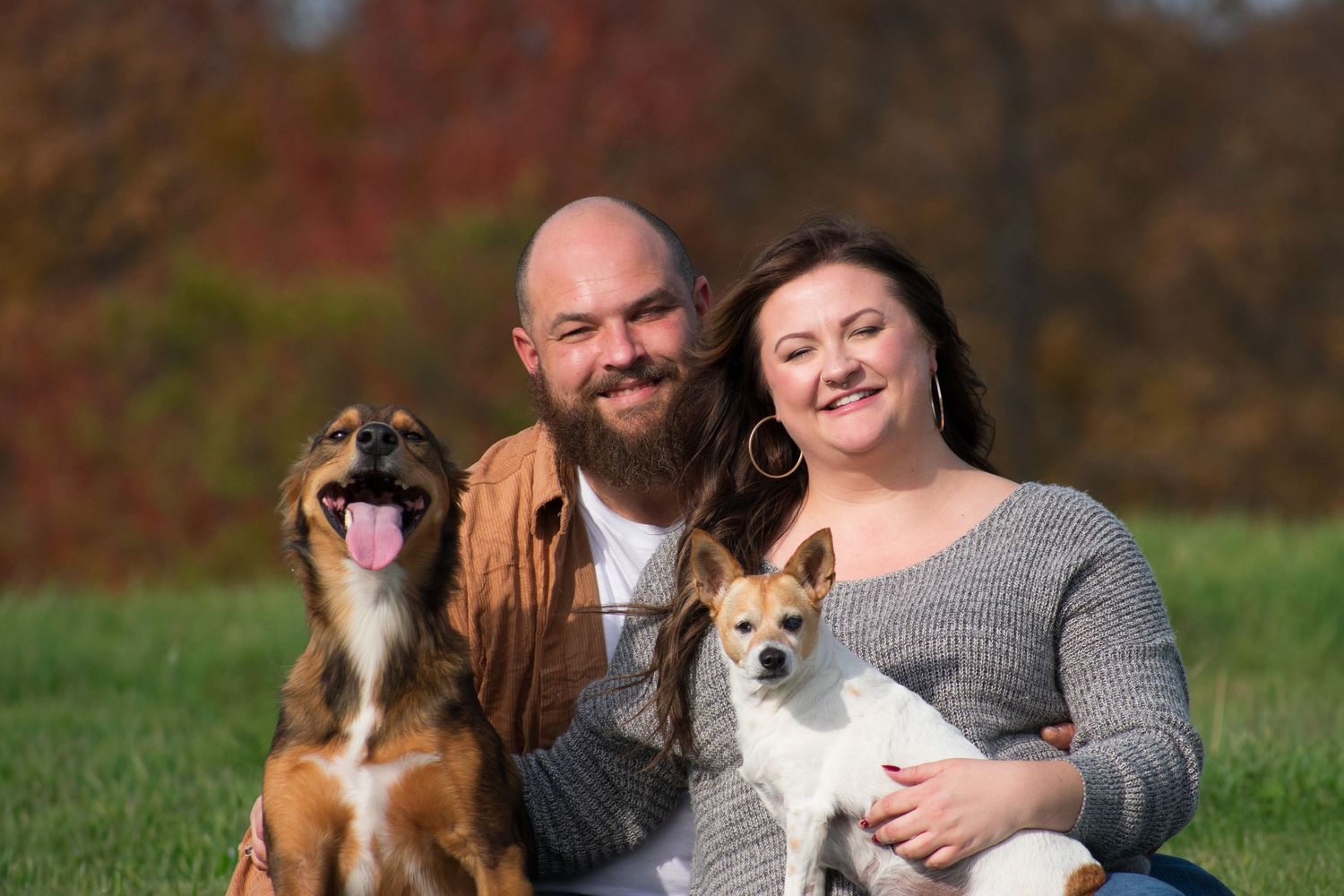 Outdoor family photo with three dogs sitting in green grass.