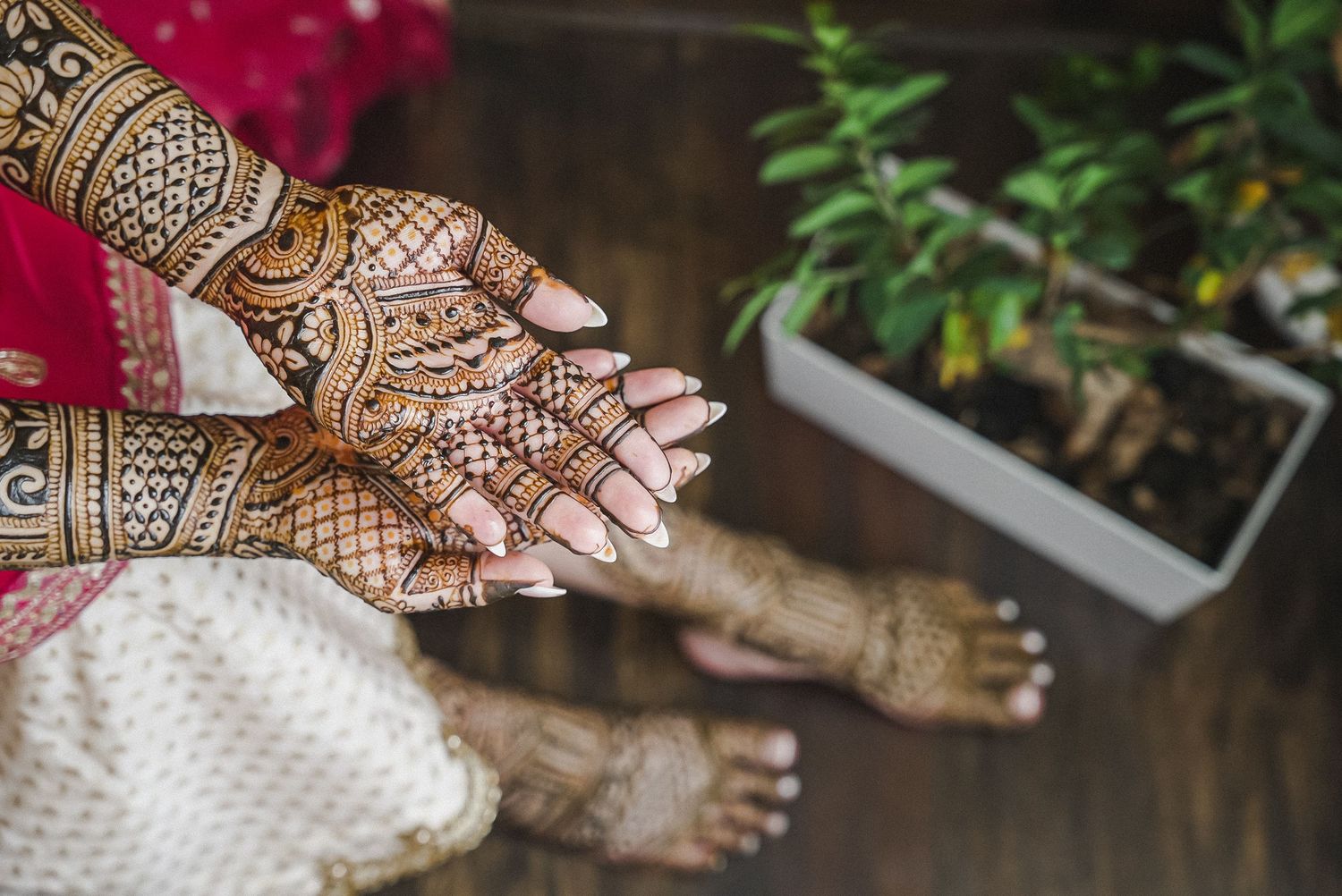 Elaborate henna designs displayed on palms with lush green plants in background.