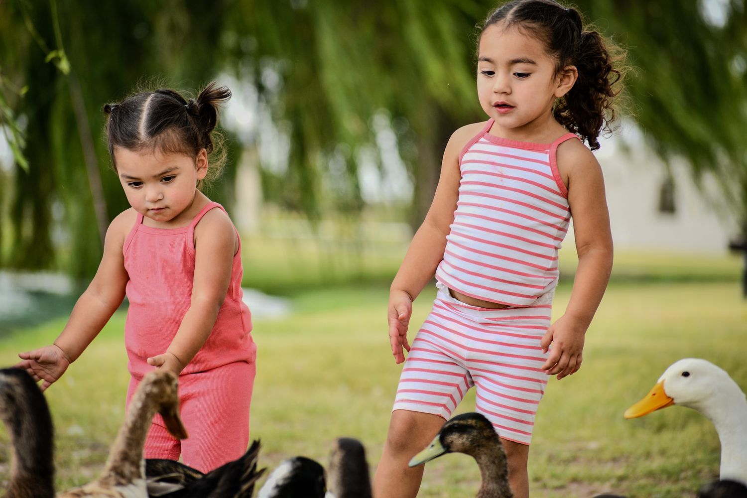 Two children in colorful outfits feed ducks near a pond.