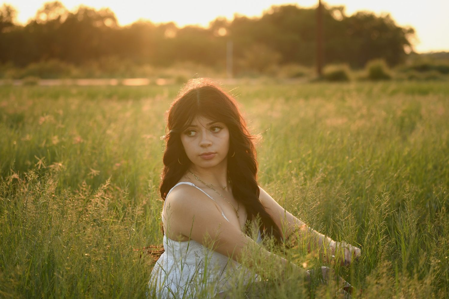 Sunset in a summer meadow with golden light filtering through tall grass.