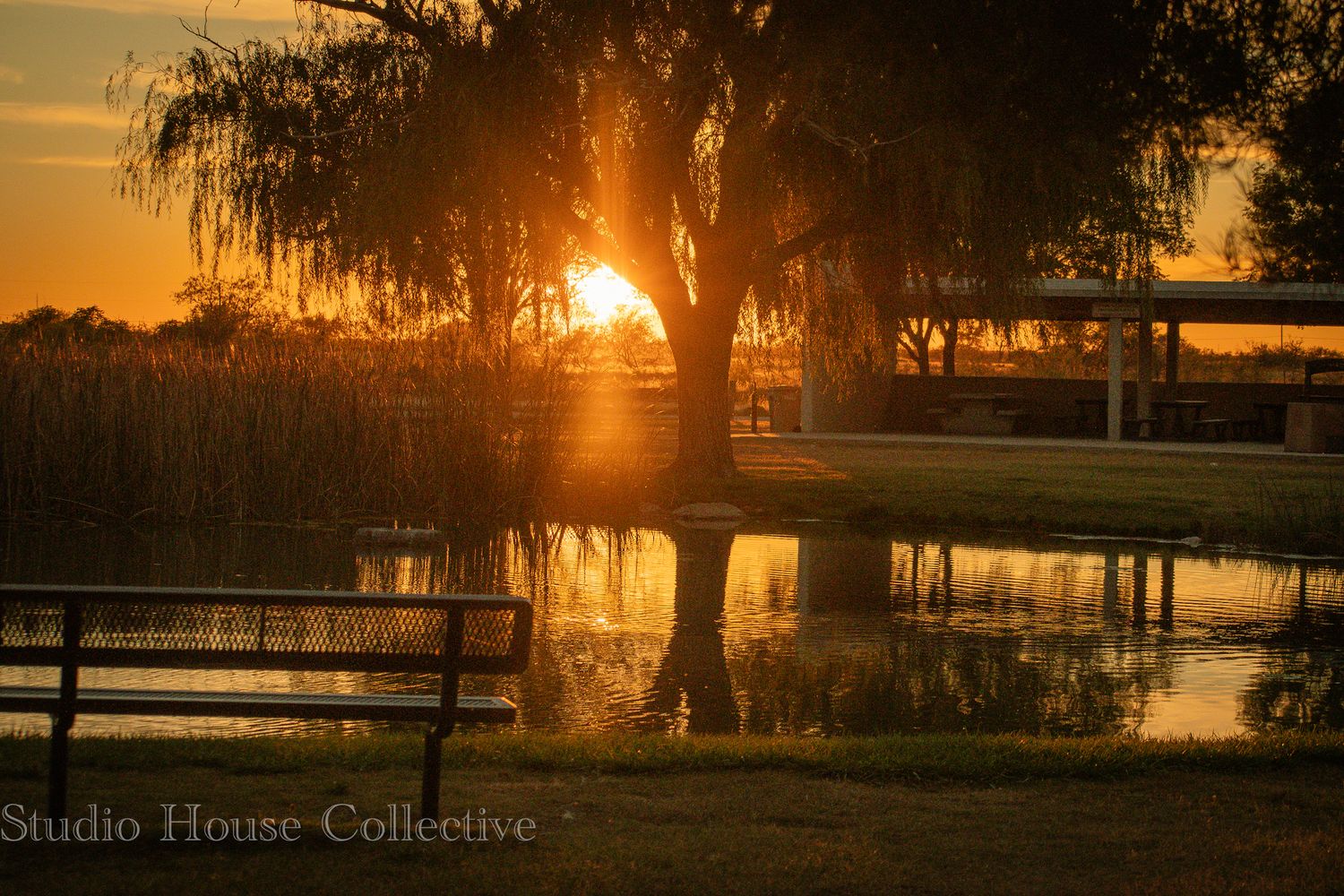 Golden sunset over a tranquil lake with silhouetted willow trees and wooden dock creating a peaceful reflection.
