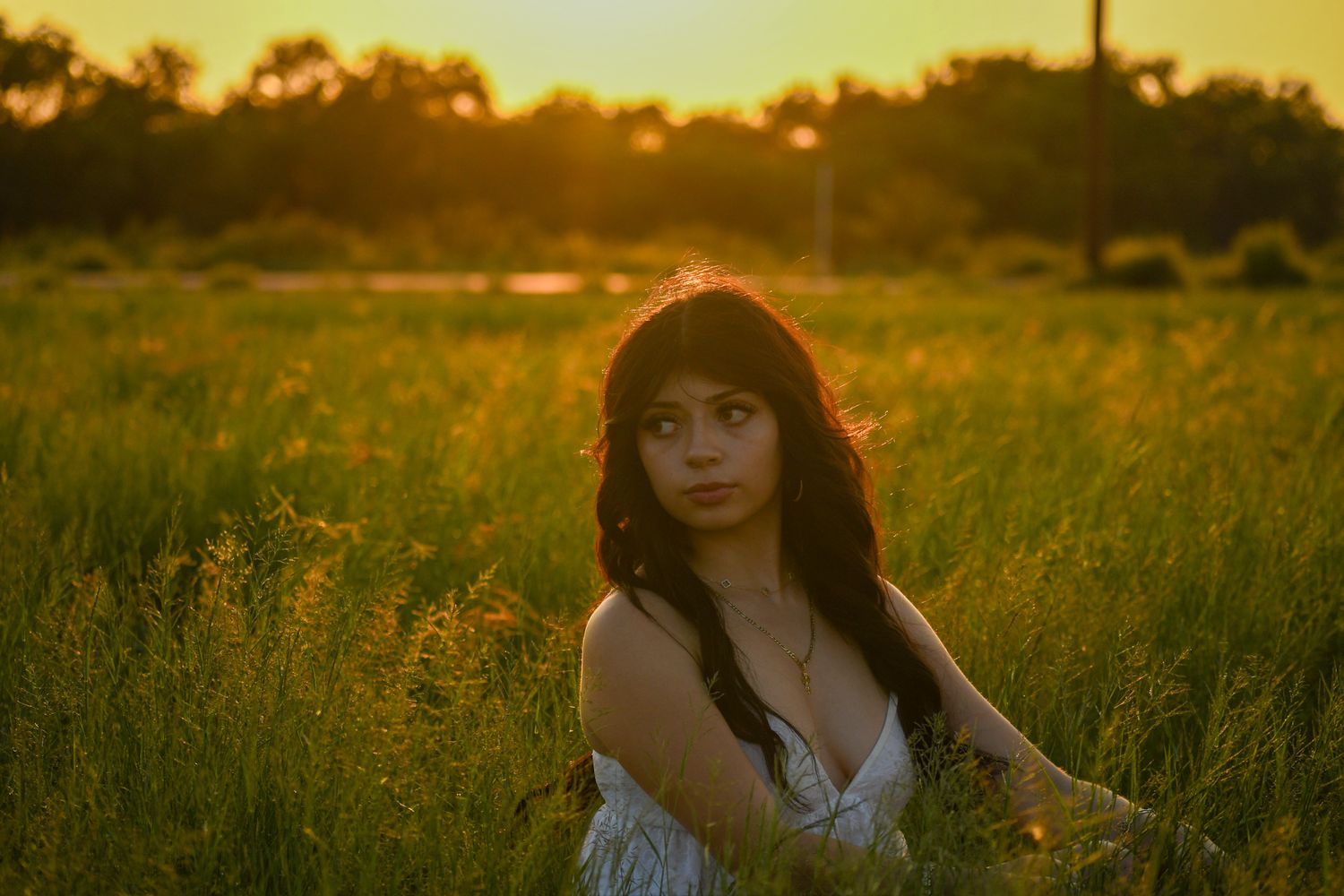 A series of warm sunset photos showing someone in a white dress walking through a golden field at dusk.