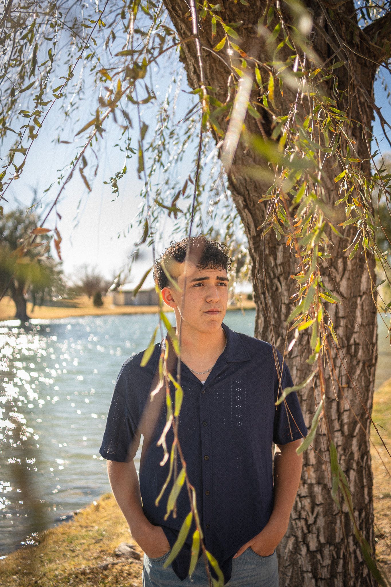 A person sits beneath a weeping willow tree by a sunlit lake on an autumn afternoon.