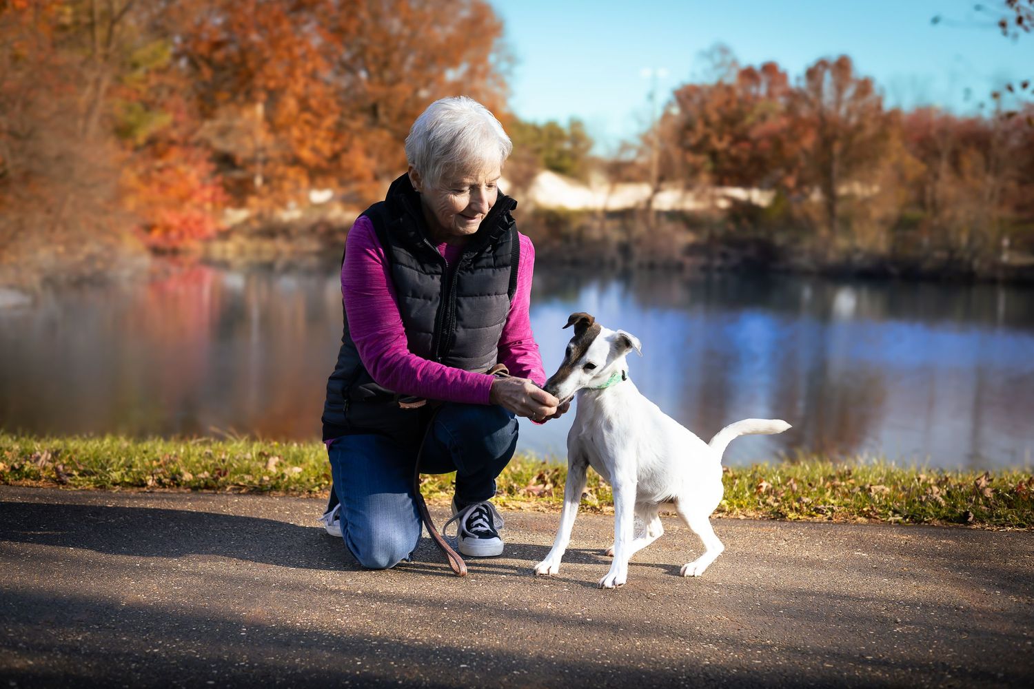 A photo of an old lady feeding her dog with a background of a lake and autumn leaves.