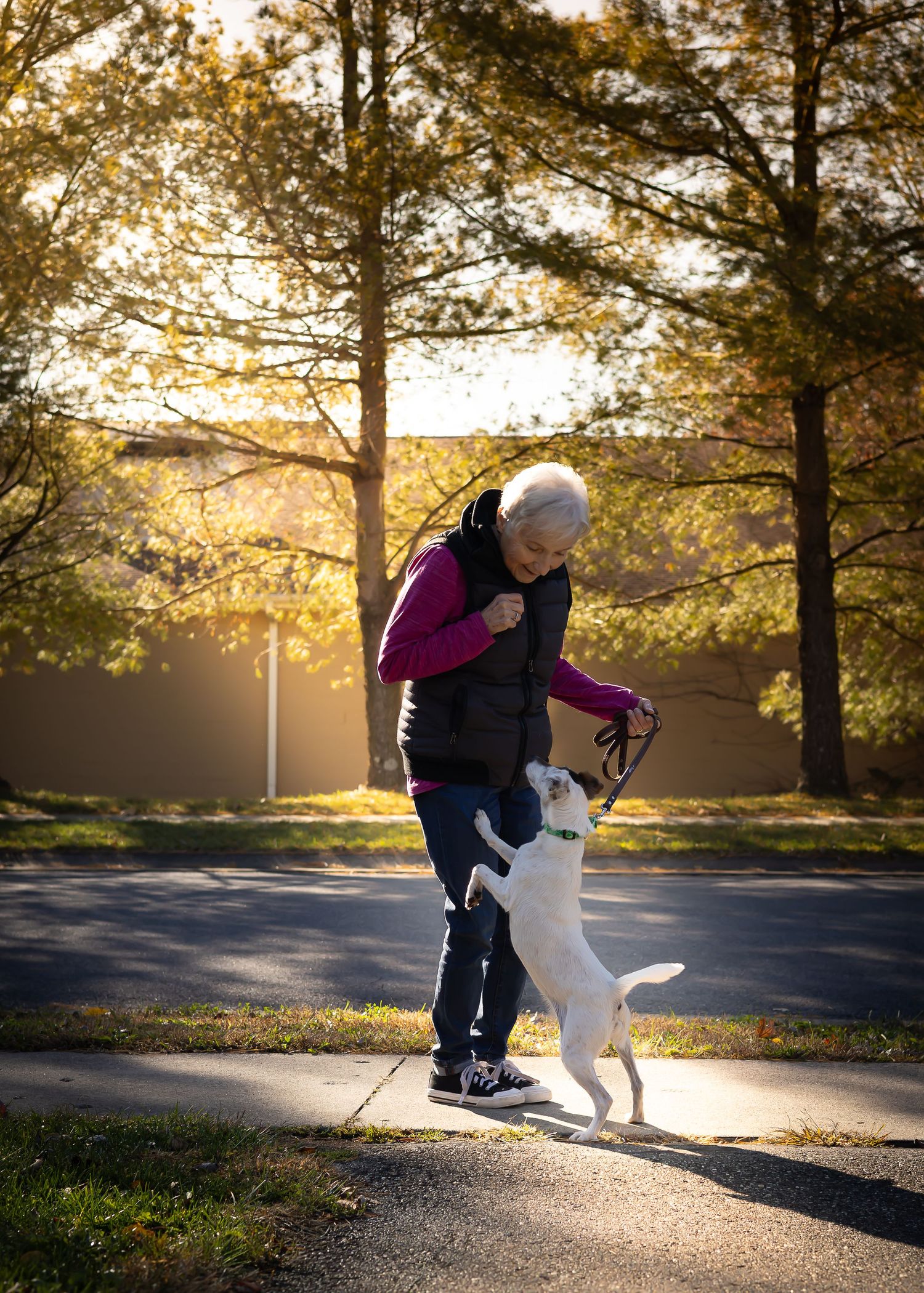 A dramatic photo of an old lady playing with her dog.
