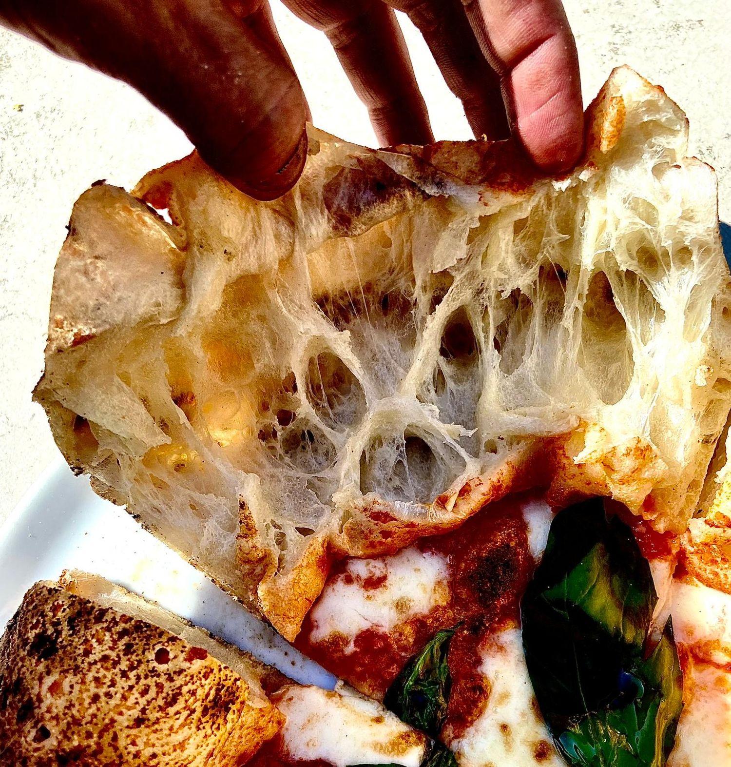 Hand holding pizza slice displaying intricate webbed interior crumb structure.