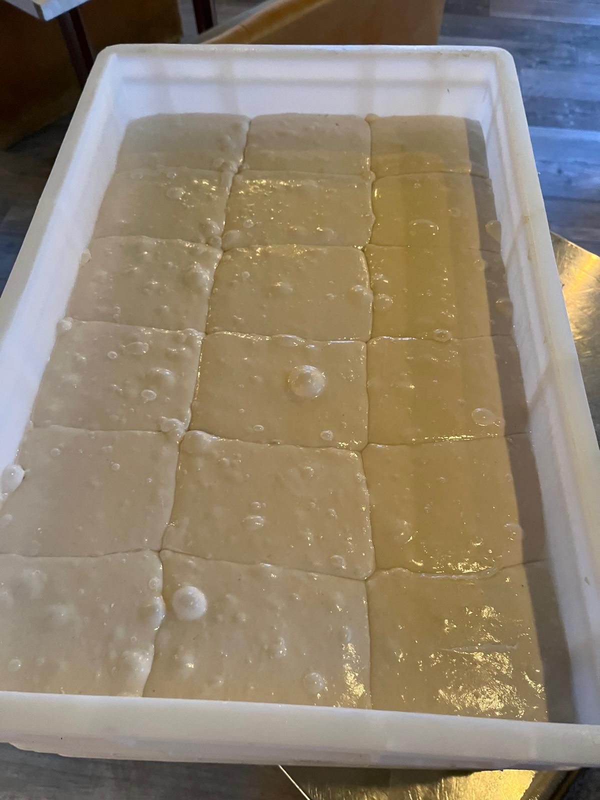 Scored raw bread dough divided into equal squares proofing in a white plastic container.
