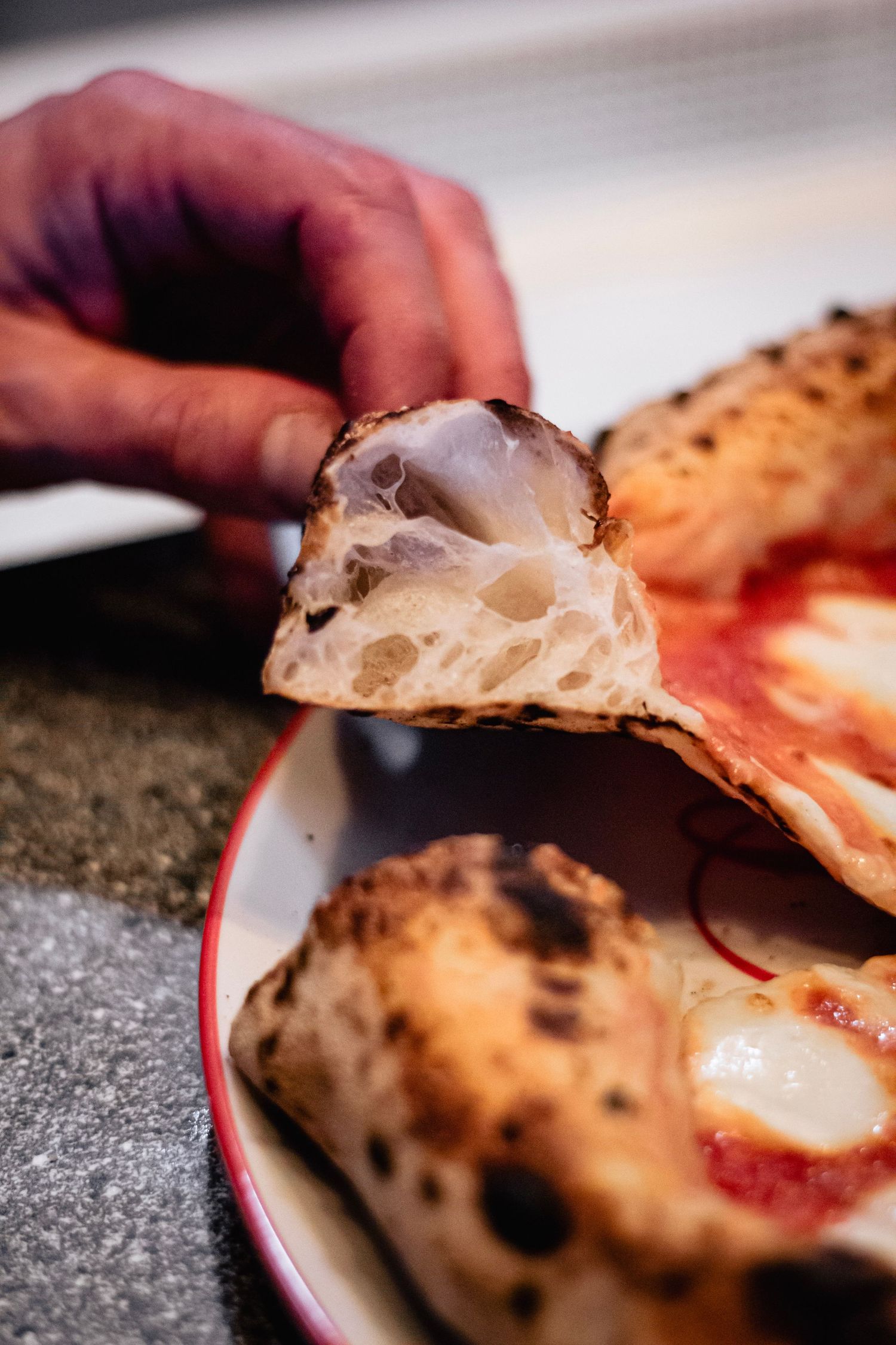 Hand holding a slice of Neapolitan pizza showing charred crust and airy open crumb.